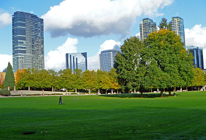 bellevue1